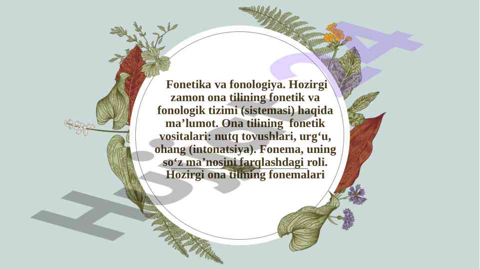 Fonetika va fonologiya: hozirgi zamonda tahlil