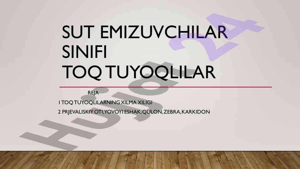 Toq tuyoqlilar sinifi va ularning xilma xiligi