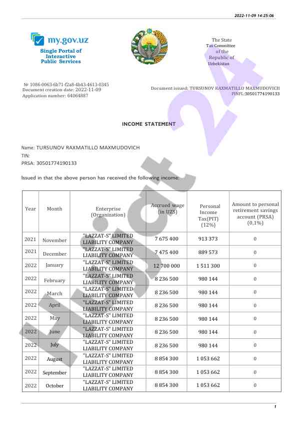 Income statement for 2021 and 2022 financial records