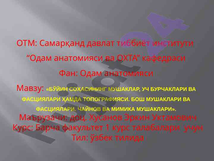 Бўйин соҳасининг мушаклари ва топографияси