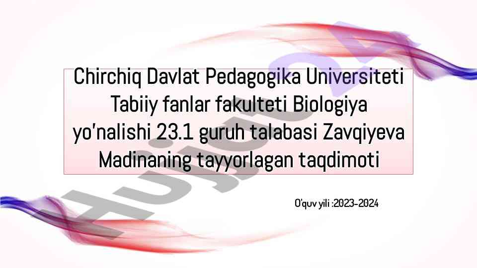 Osminoglarning tuzilishi va qon aylanishingiz
