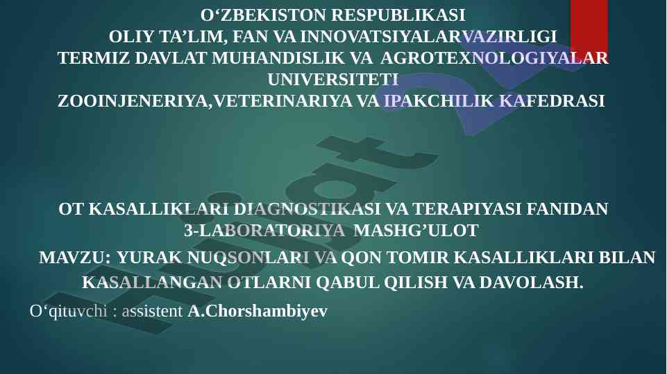 Yurak nuqsonlari va qon tomir kasalliklari diagnostikasi