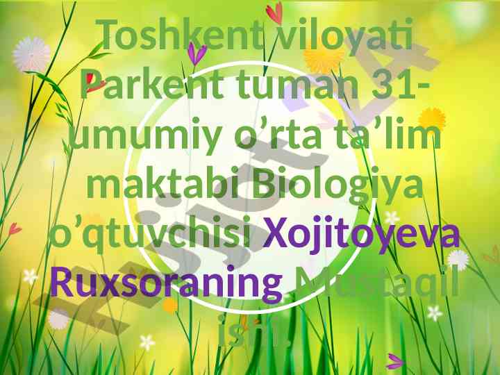Zamburug’lar dunyosi va ularning turlari