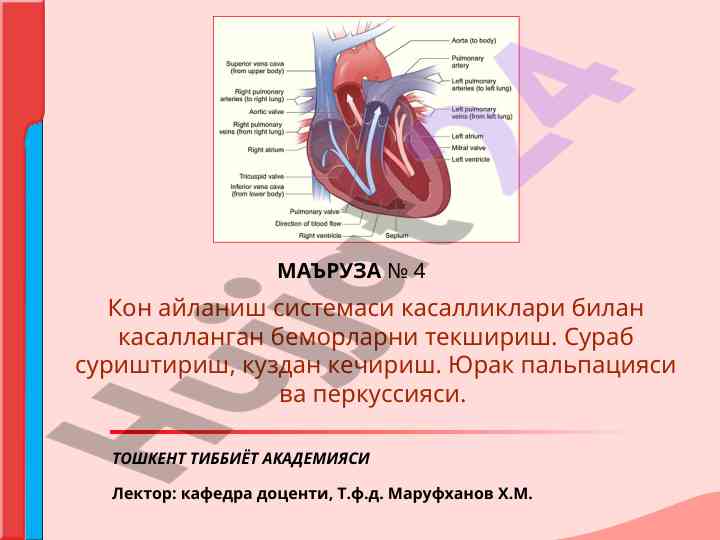 Кон айланиш системаси касалликлари текшируви