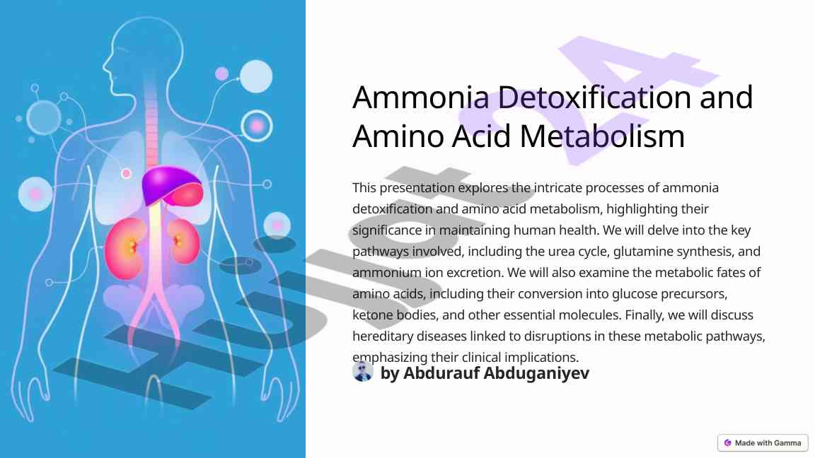 Ammonia detoxification and amino acid metabolism overview