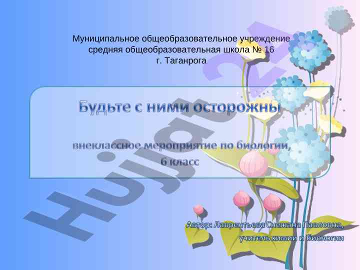 Растения в интерьере и их уход