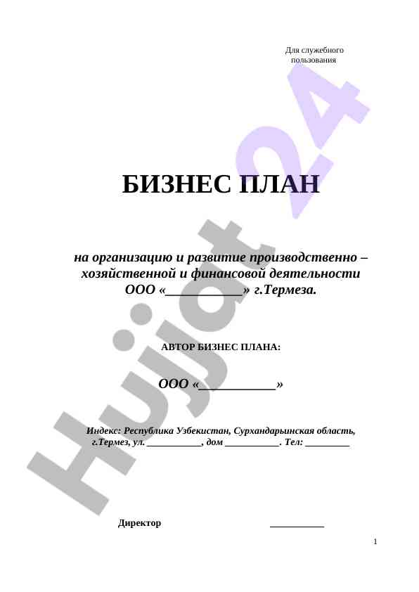 Бизнес план на организацию и развитие деятельности