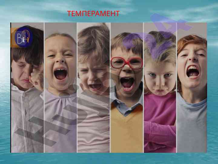 Temperament haqida o‘quv qo‘llanma