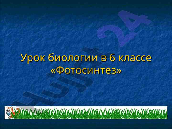 Урок биологии в 6 классе фотосинтез
