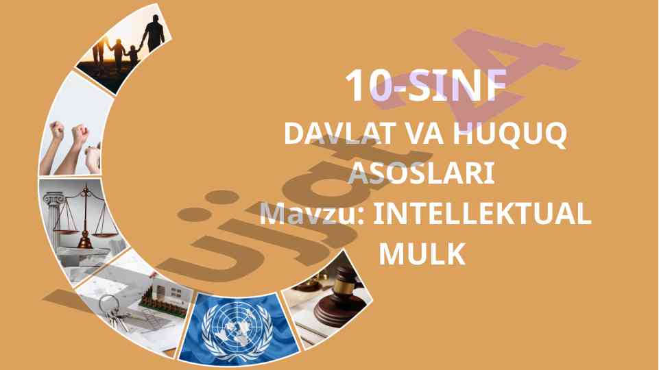 Intellektual mulk asoslari va xalqaro tashkilotlar