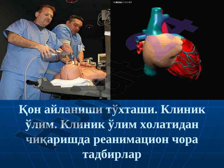 Қон айланиши тўхташи ва реанимация тарихи