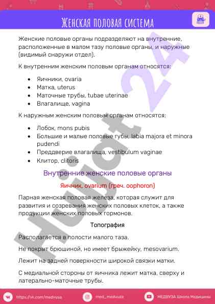 Zhenskaya polovaya sistema i yichniki