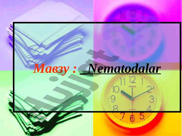 Nematodalar turi va tashkilotiy tahlil