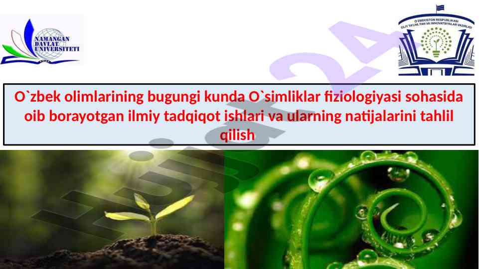O‘zbekiston o‘simliklar fiziologiyasi tadqiqotlari