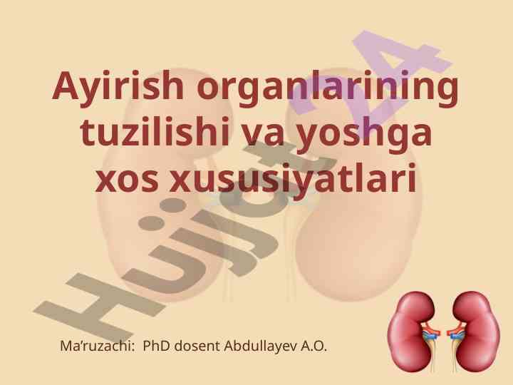 Ayirish organlarining tuzilishi va yoshga xos xususiyatlari