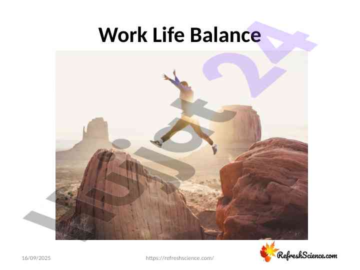 Work life balance strategies for professional success