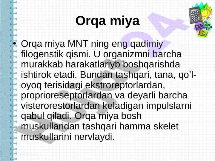 Orqa miya roli va funktsiyalari tahlili
