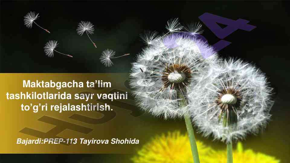Maktabgacha ta’limda sayr vaqtini rejalashtirish