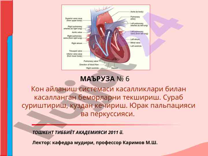 Кон айланиш системаси касалликлари билан текшириш
