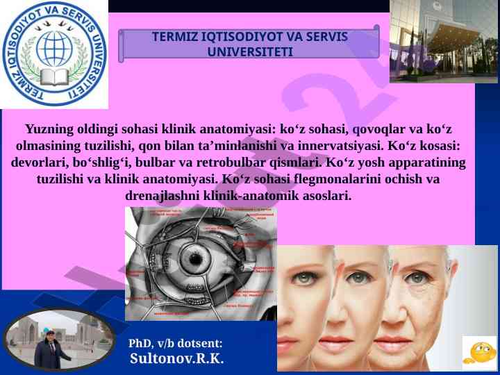 Yuz sohasi klinik anatomiyasi va kosasi tahlili