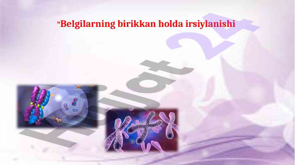 Jins tuxum hujayra urug‘lanishida xromosoma tahlili