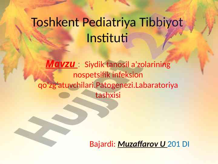 Siydik tanosil a’zolarining nospetsifik infeksion qo’zg’atuvchilari