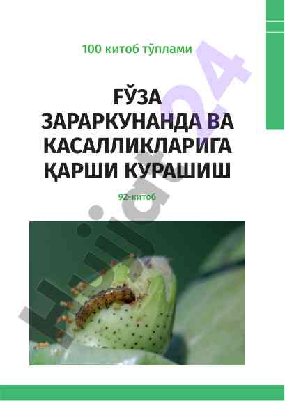 Agriculture development and food security strategies