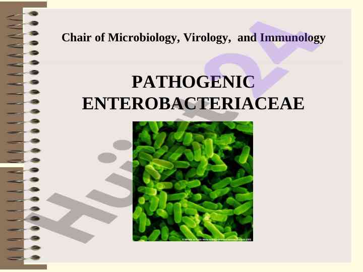 Pathogenic enterobacteriaceae classification and identification