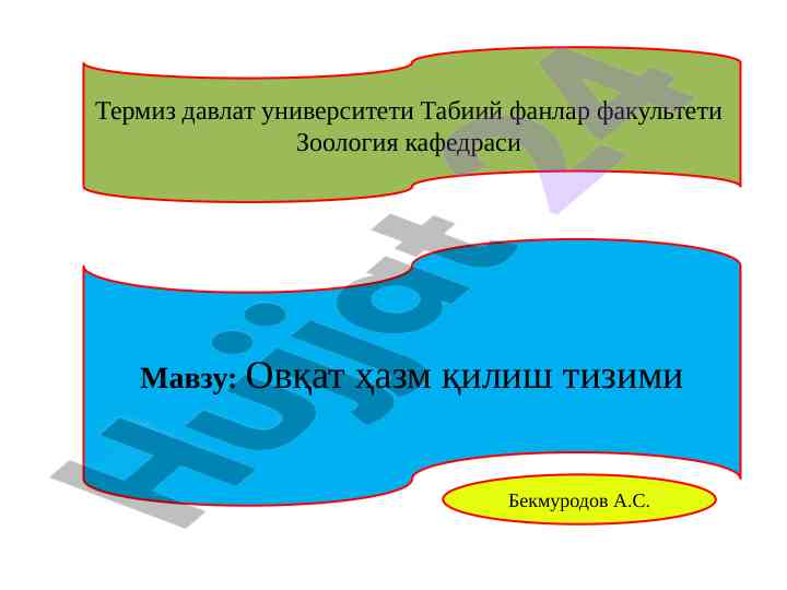 Ovqat hazm qilish tizimi mavzusida kurs ishlarini o‘rganish