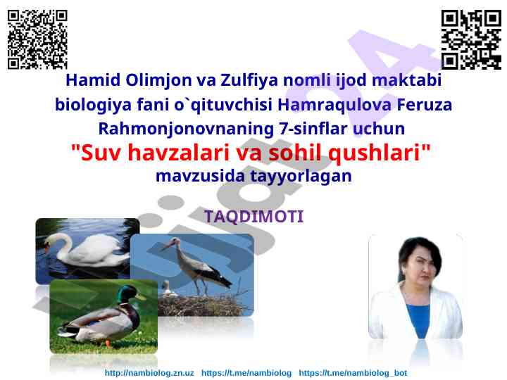Suv havzalari va sohil qushlari mavzusida taqdimot