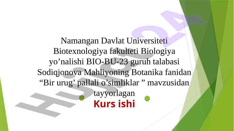 Bir urug' pallali o'simliklar mavzusida kurs ish