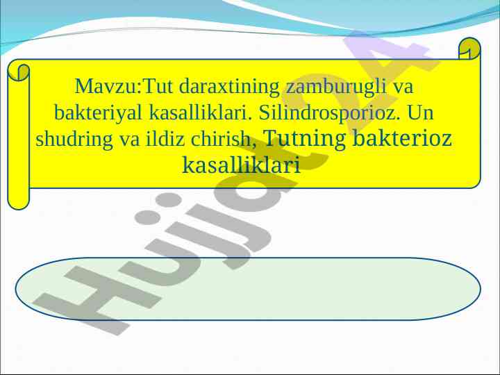 Tut daraxtining zamburugli va bakteriyal kasalliklari