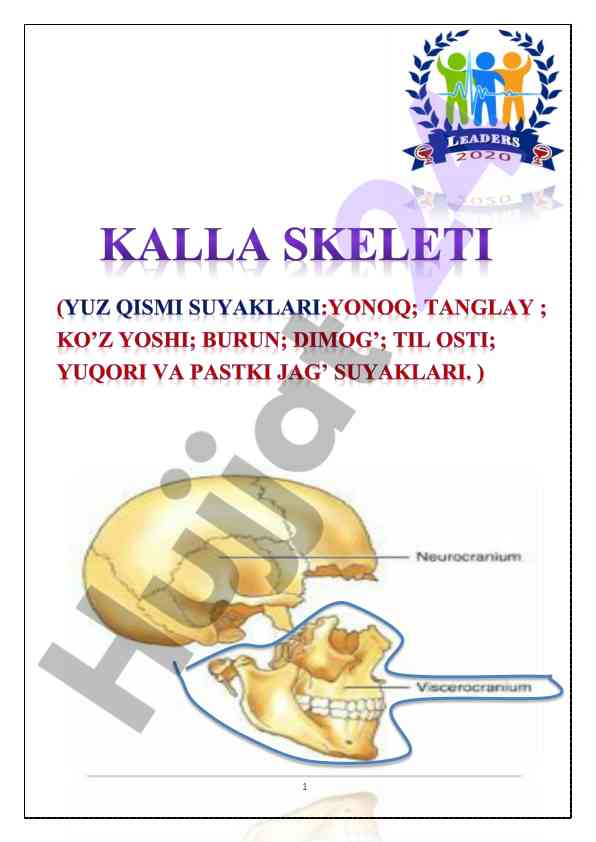 Yuz qismi suyaklari anatomiyasi