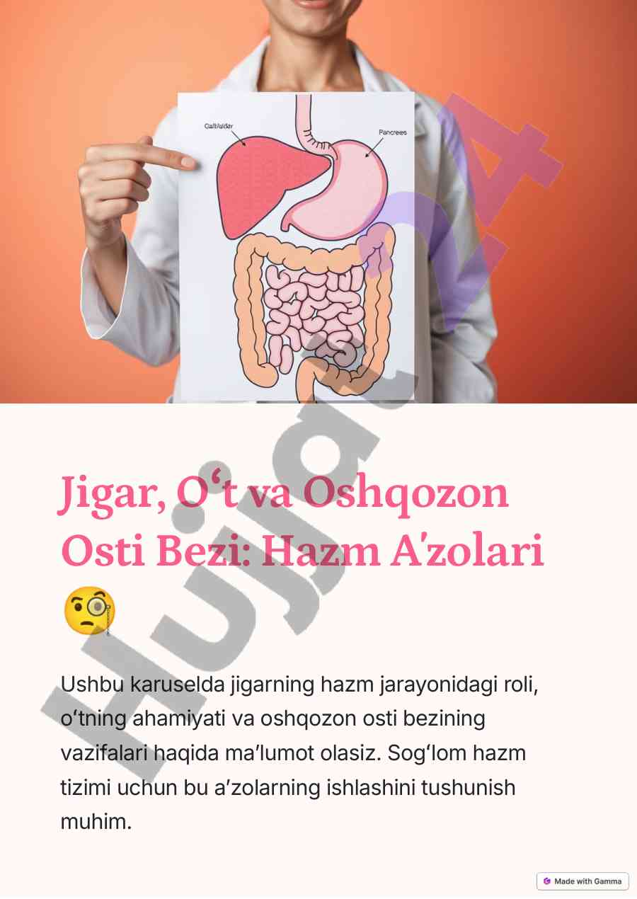 Jigar, o't va oshqozon osti bezi: hazm a¾zolari