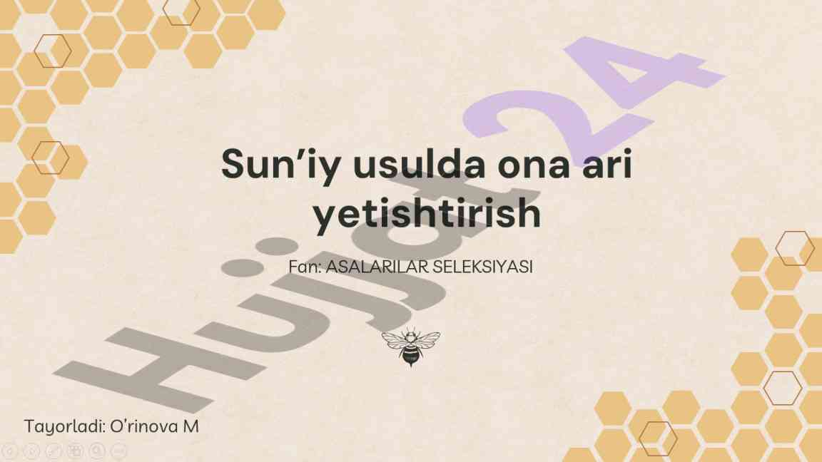 Sun'iy usulda ona ari yetishtirish jarayoni