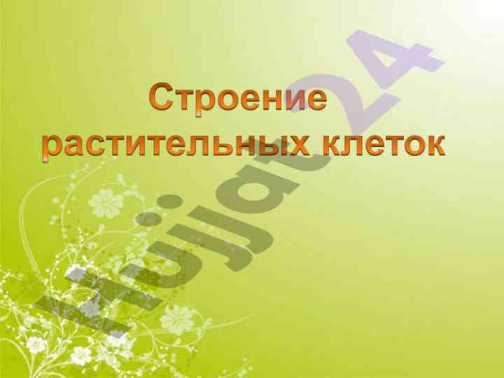 Цитоплазма клетки и ее ученые исследования