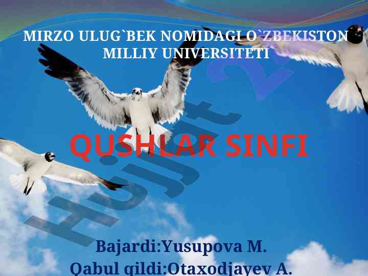Qushlar tahlili va ularning tuzilishi