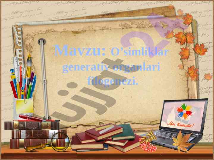 O’simliklar generativ organlari filogenezi tahlili