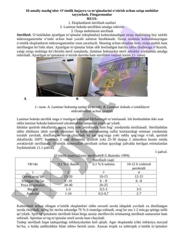 O‘simlik hujayra va to‘qimalarini o‘stirish oziqa muhitlari