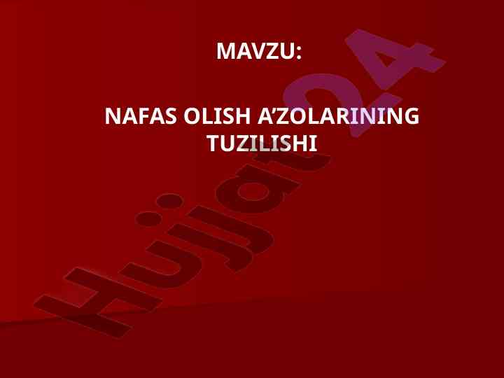 Nafas olish a’zolarining tuzilishi