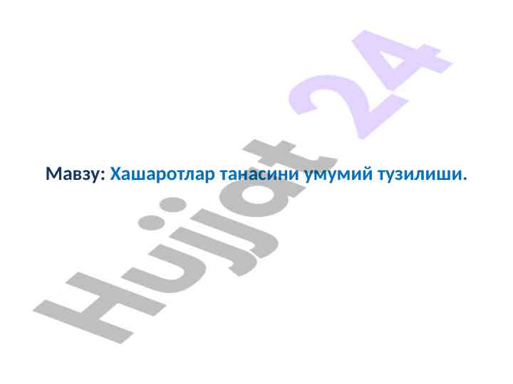 Хашаротлар танасини умумий тузилиши тахлили