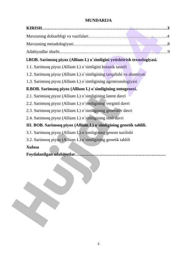 Sarimsoq piyoz o'simligini yetishtirish texnologiyasi