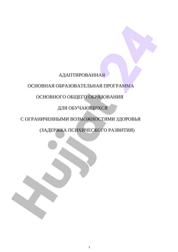 Адаптированная основная образовательная программа