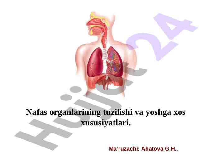 Nafas organlarining tuzilishi va fiziologik xususiyatlari
