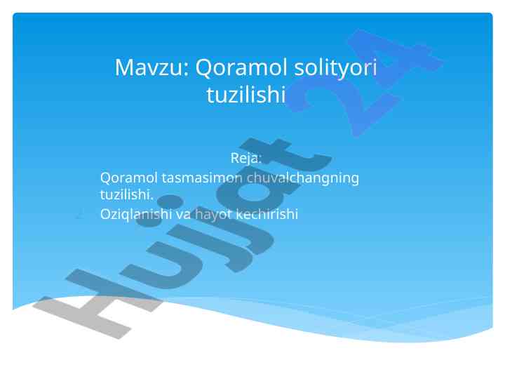 Qoramol solityori tuzilishi va oziqlanishi