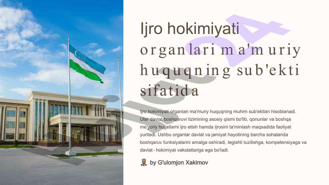 Ijro hokimiyati organlarining boshqaruv funksiyalari