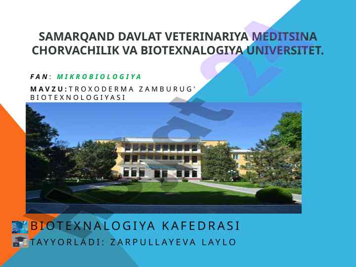 Troxoderma zamburug' biotexnologiyasining o'ziga xosliklari