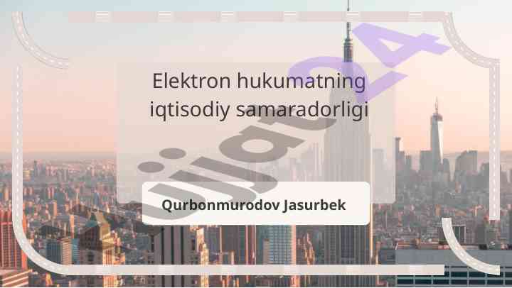 Elektron hukumatning iqtisodiy samaradorligi va prinspilari