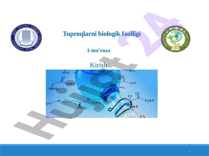 Tuproqlarni biologik faolligi ma’ruzasi