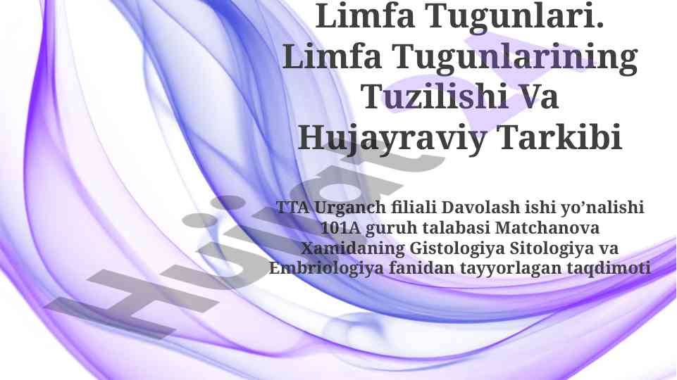 Limfa tugunlari tuzilishi va hujayraviy tarkibi